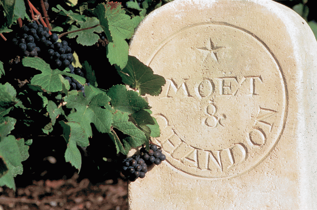 Moët & Chandon 2013