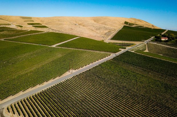 Red Mountain 2018 red wines.