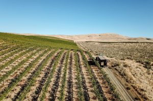 Yakima Valley 2018 red wines