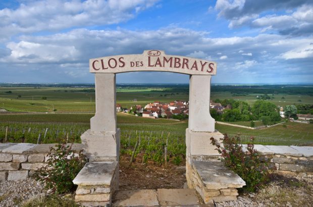 Clos des Lambrays