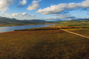 Agulhas Wine Triangle