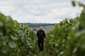 Rodolphe Péters in the Chetillons vineyard