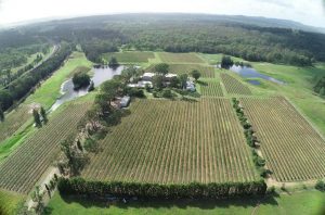 Hunter Valley property David Hook Wines, which has been listed for sale.