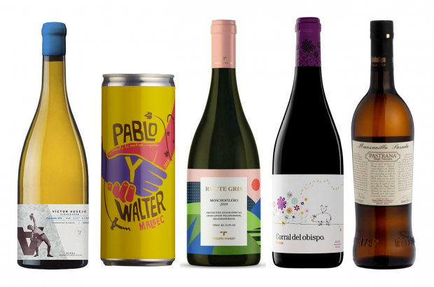 Autumn_Wines_Bottles2