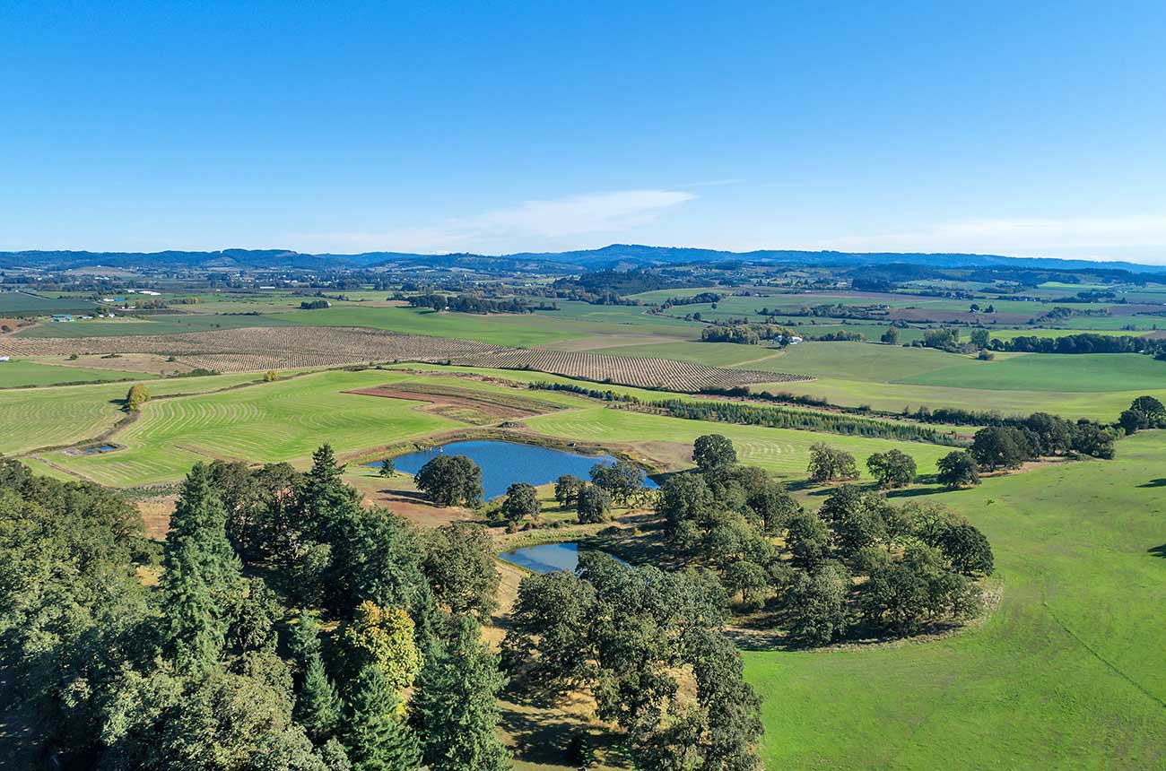 NBA star CJ McCollum buys Oregon vineyard property