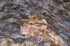 Brune and Blonde soils