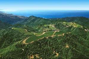 Healdsburg travel guide