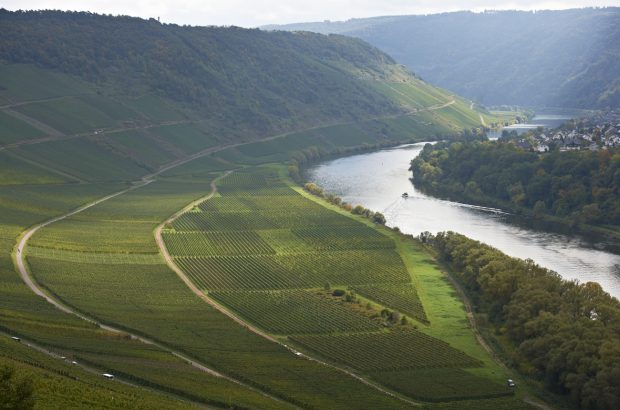 Grosses Gewachs 2021