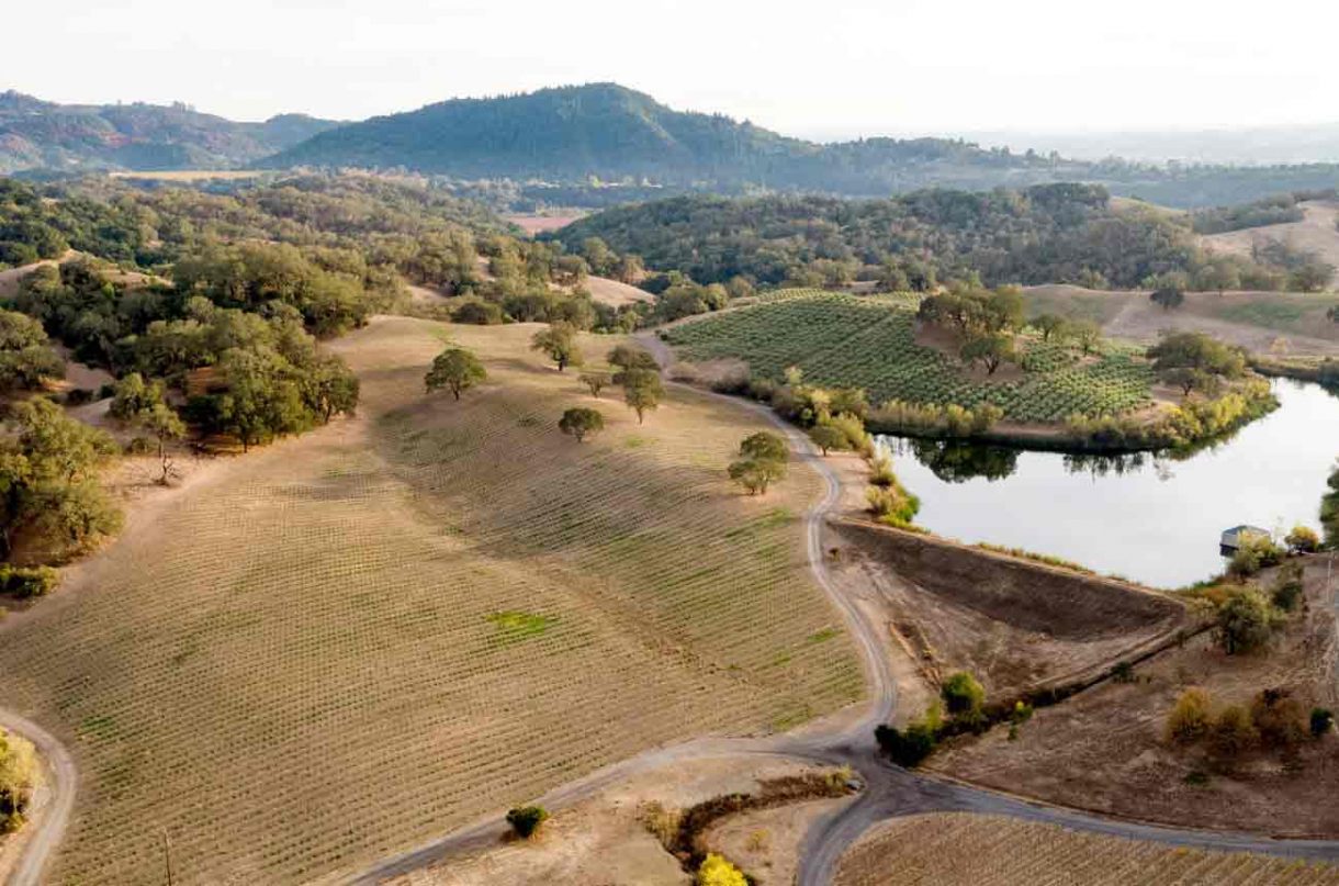 Jordan Vineyard & Winery producer profile Decanter