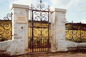 Montrachet Grand Cru