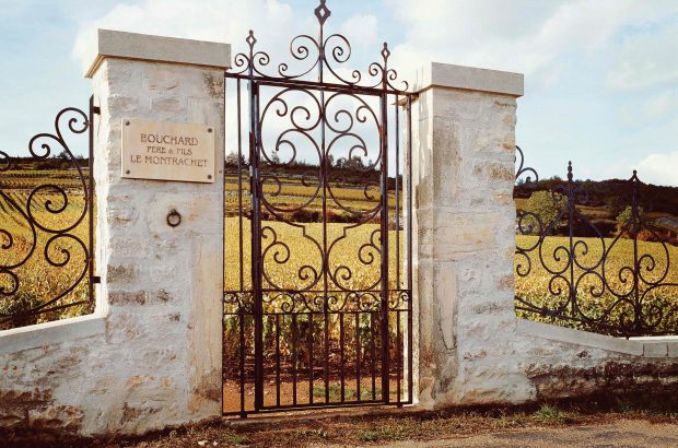 Montrachet Grand Cru