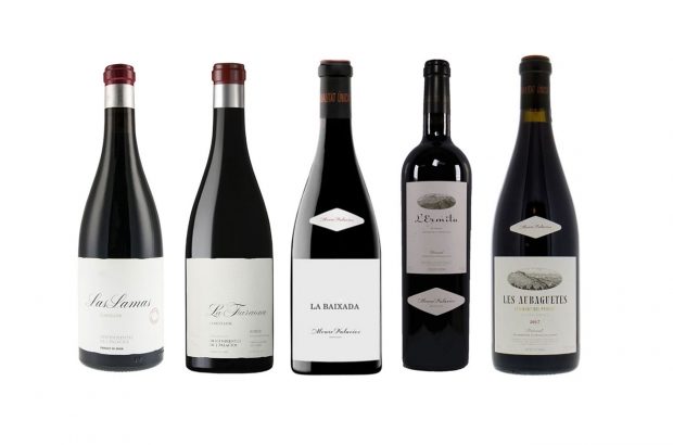 Alvaro Palacios 2020