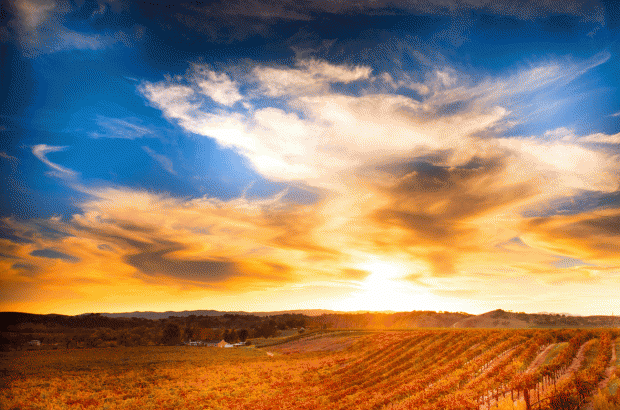 Paso-Robles-sunset