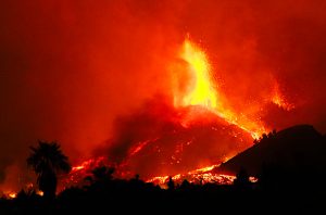 Canary Island volcano eruption effects the harvest