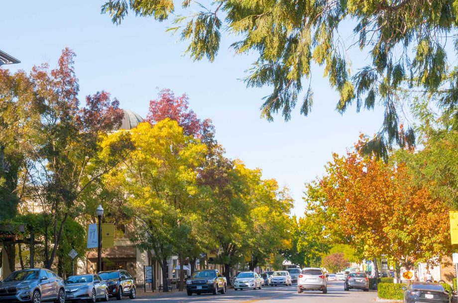 Healdsburg travel guide threeday itinerary for wine lovers Decanter