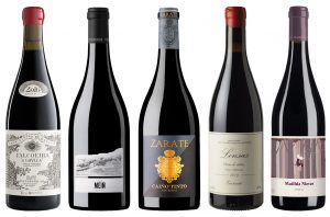 Galician red wines