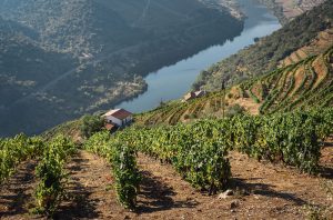 Douro Valley