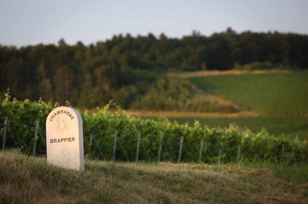 Drappier ‘Trop m’en faut!’