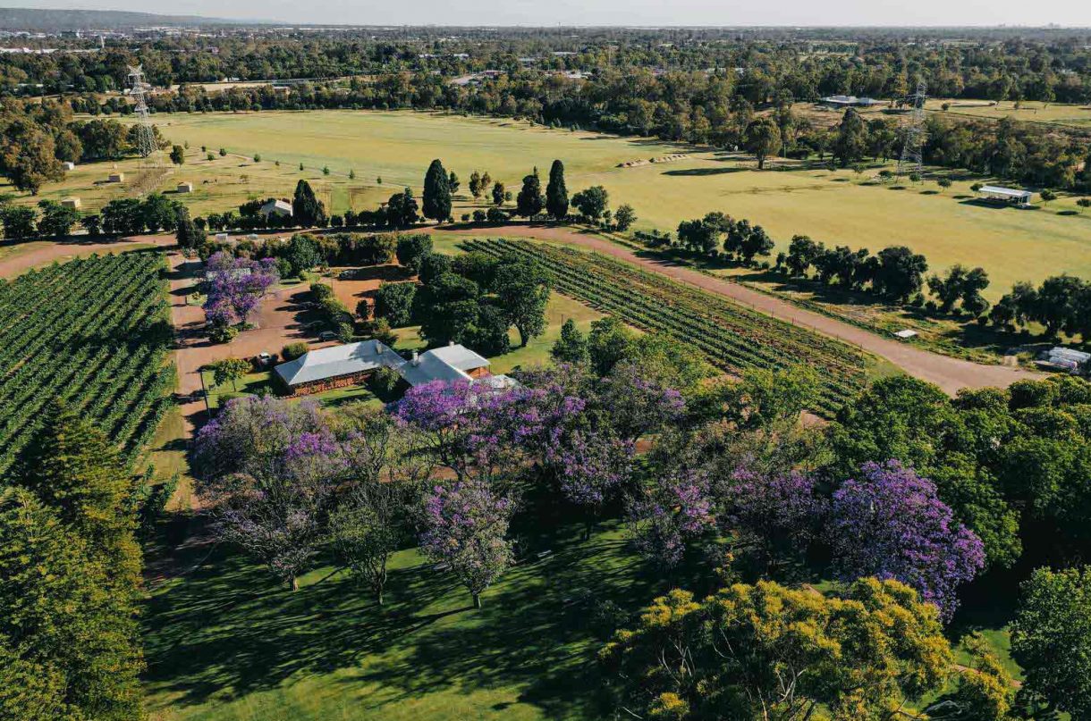 Swan Valley, Western Australia, for wine lovers Decanter