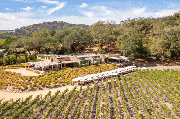 Judgment of Napa - Stag's Leap Wine Cellars