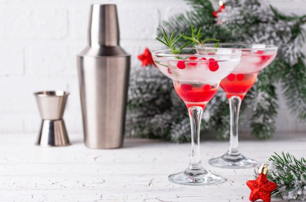 Cocktails and a cocktail shaker with pine branches