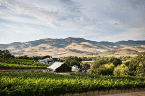 Southern Oregon - Weisinger Family Winery, Rogue Valley AVA
