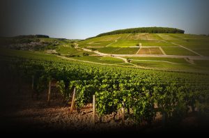 burgundy for christmas