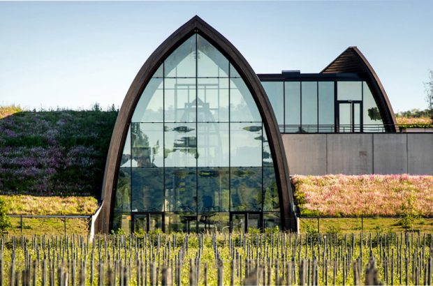 Château Angélus winery