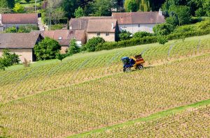 Côte Chalonnaise 2020