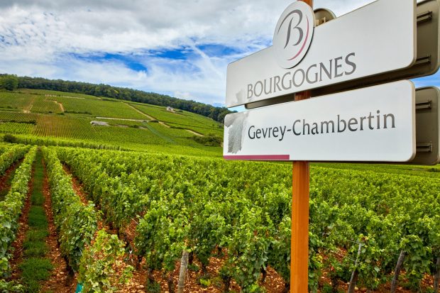 Gevrey-Chambertin 2020