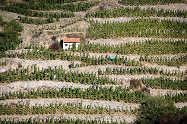 Hermitage Lieux-Dits