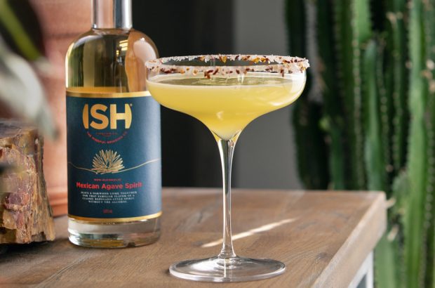 Cocktail glass of Margarita on a wooden bar with a bottle