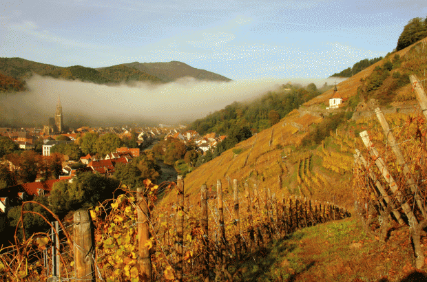 Domaine Zind-Humbrecht