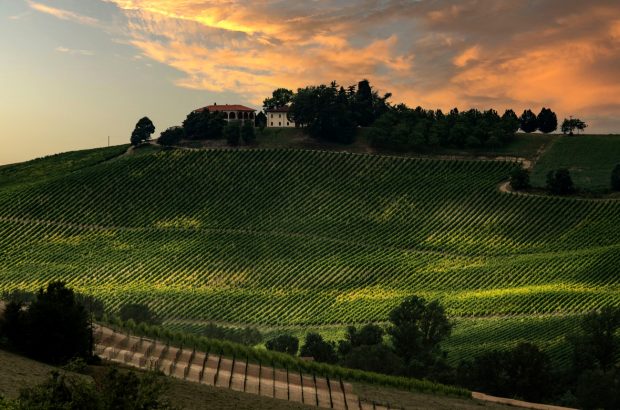 Ruchè di Castagnole Monferrato vineyards