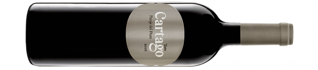 San-Román,-Cartago-2016