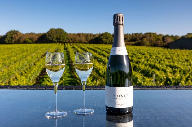 Freixenet Copestick acquires Bolney