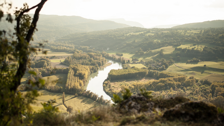 Decanter Wine Experiences Decanter