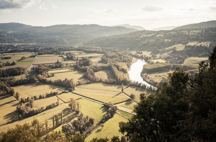 Exclusive Rhône Valley Wine Tour with Decanter Decanter