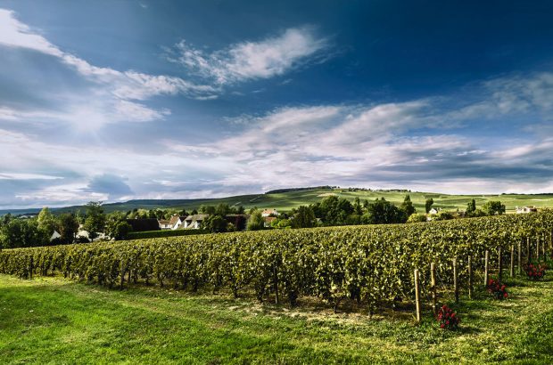 Le Clos Saint-Hilaire