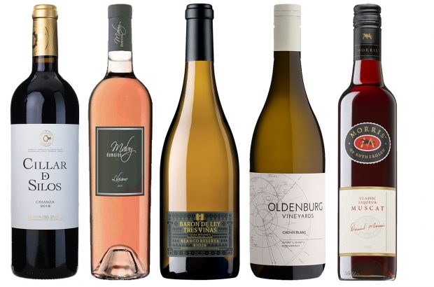 wines of the year 2021 value