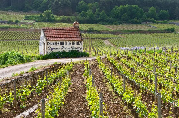 grands crus of Gevrey-Chambertin