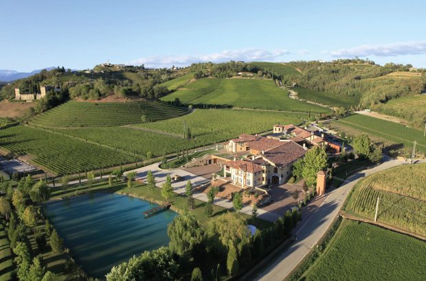 Italy's northeastern white wines