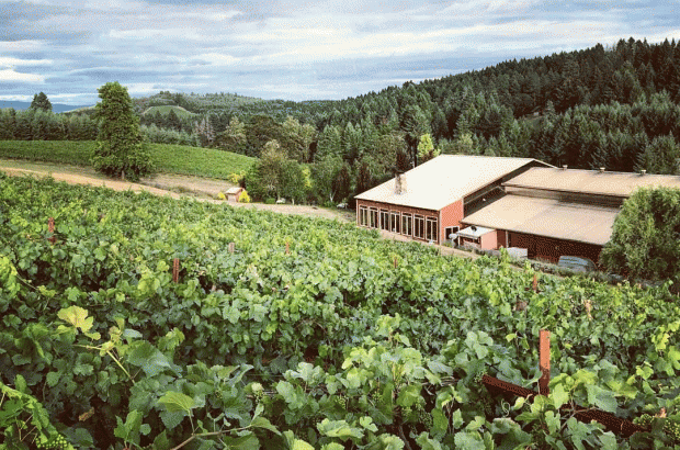 Lower-Long-Tom-AVA-Pfeiffer-Winery