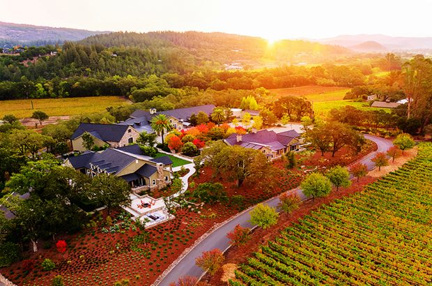 Trinchero Estate, an Italian-style California producer