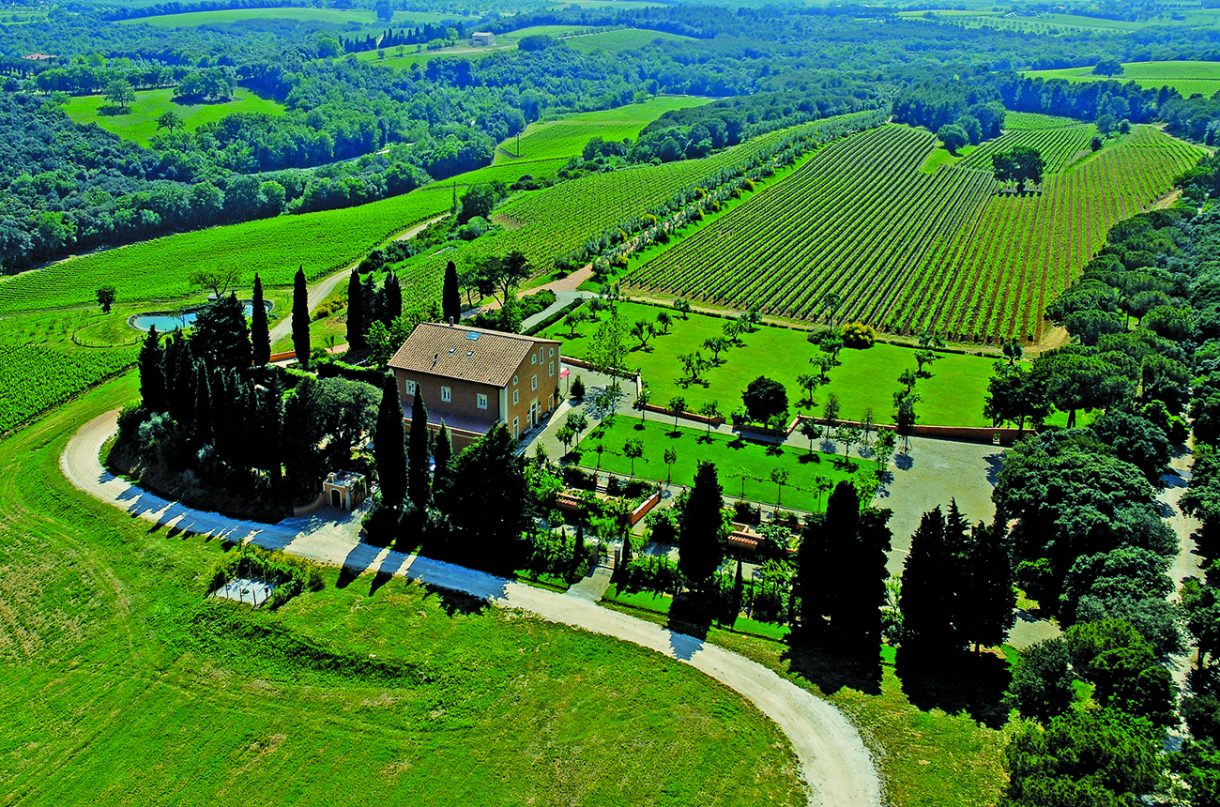 The new SuperItalians 12 essential, newwave Italian wines Decanter