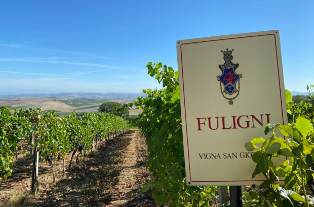 Fuligni Brunello di Montalcino