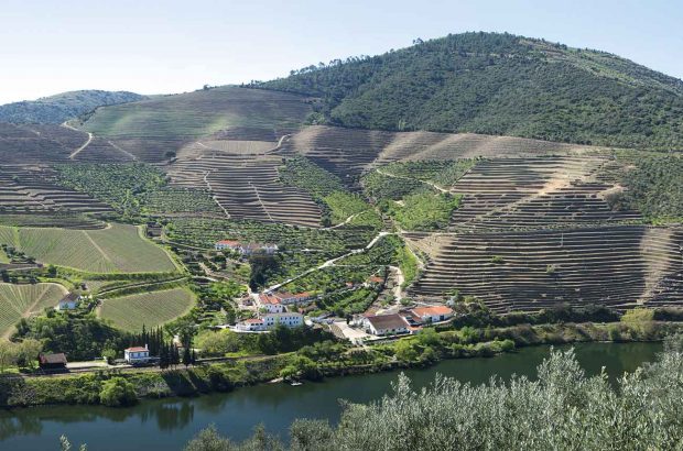 Single quinta vintage Port