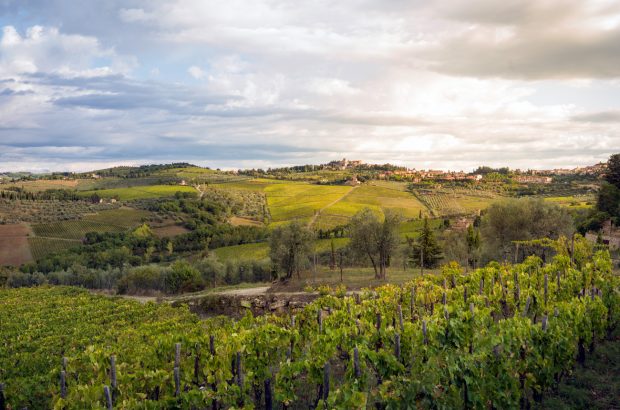 Fontodi vineyard in Panazano