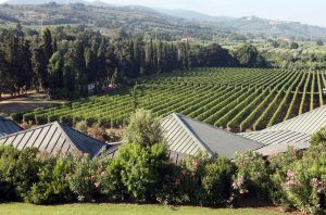 Gaja Ca' Marcanda winery and vineyards