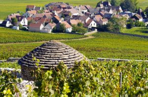 Value Côte de Nuits